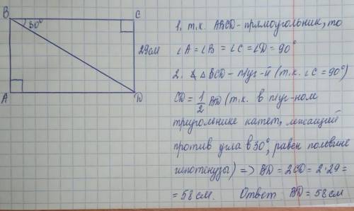 Ar30gr.JPG Диагональ BD прямоугольника ABCD со стороной BC образует угол в 30°. Вычисли диагональ BD