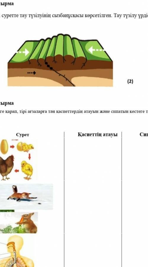 АЙТЫЛЫМ 10-тапсырма. Жұптық жұмыс. Сұрақтарға жауап беріп, диалог құрыңдар.Орақшыларға нанды неден д