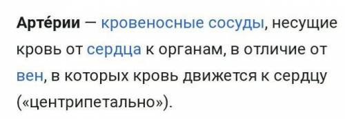 Чем вены отличаются от артерий?​