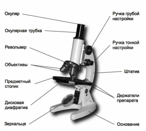 Ребят иначе меня зарежут​