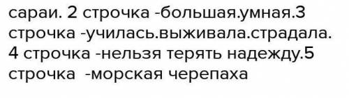 Синквейн к слово Человек Про сарли, черепаху с Большого барьерного рифа ​