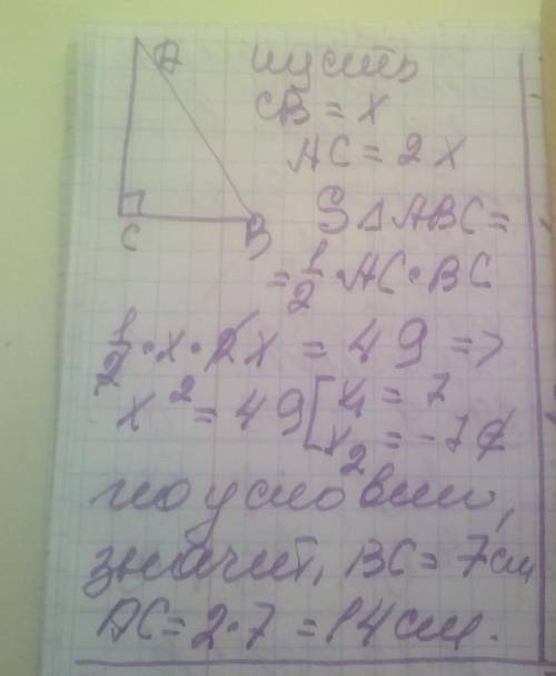 в прямом треуголнике катес в 2 раза болше другого катета ,площать равна 49 см². Найдите катеты треуг