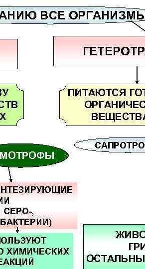 Назовите типы питания живых организмов? автотрофное питаниегетеротрофное питаниеавтотрофное и гетеро