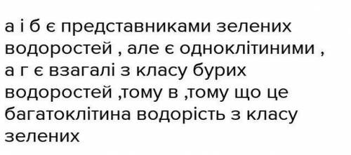 2-3 речення чому хламідомонада та улотрикс водорості?​