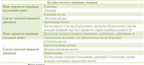 Відділи скелету кінцівок ссавців