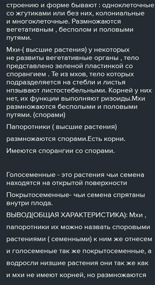 размножения 2 Значение в природе и жизни человека 3 общая характеристика Водоросли Мхи Папоротники П