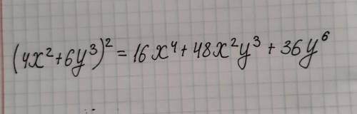 решить (4x²+6y³)²