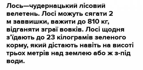 Цікава інформація про зелений лук , как больше 15 речень) ​