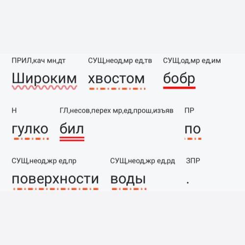 Как сделать синтаксический разбор предложения: Широким хвостом бобр гулко бил по поверхности воды