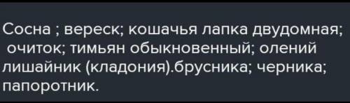 8. Где встречаются сосновые рямы? А. в поймах рек; Б.на высоких песчаных гривах; В.на водоразделах р