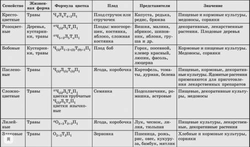 биология 6 класс. таблица класс двудольных 1. название семейства 2.кол-во видов3.формула цветка 4.пл