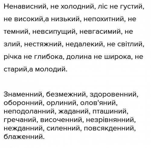 , У НАС КР Списати, розкриваючи дужки й опускаючи риски.(Ненависний; (не)холодний; ліс (не)густий; (