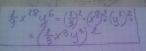 Представив выражение 1/9x^18y^6 в виде квадрата одночлена, получим: