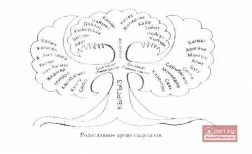 Какие есть родословные сведения о племенных объединениях кыргызов?​