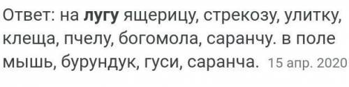 Каких обидателей живой природы можно встретить на лугу​