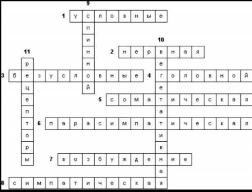 Кросворд на тему головний мозок по біології 8 клас