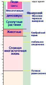 Почему сухопутные появились позже водных??? нужно