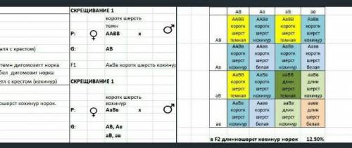 У норок длина шерсти и ее окрас наследуются независимо. От скрещивания дигомозиготных короткошерстны