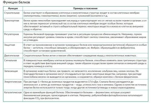 Билет N1Белки, их строение, свойства и функции,​