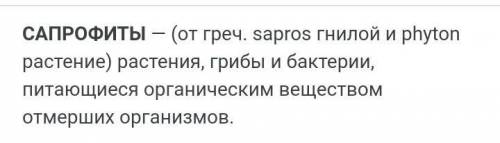 Вопросы и задания: 1. В каких местах распространены бактерии?2. Каково строение их клеток, как они р