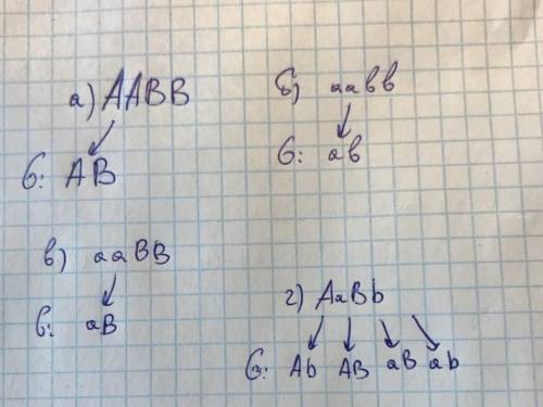 Какие гаметы могут образовываться у особей с такими генотипами? Каков их процент? AaBB CcDd