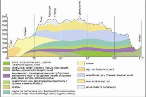 Складить схему вертикальной поясности Гімалаєв​