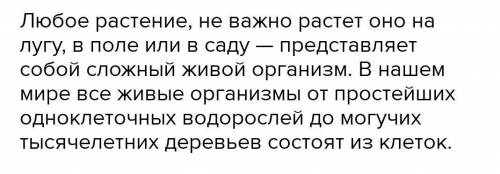 Опишите органы растений и функции используя цветковые растения растущие на школьном участке​