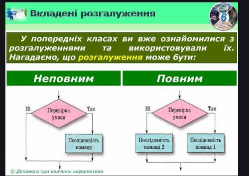 Які розгалуження можуть бути? ​