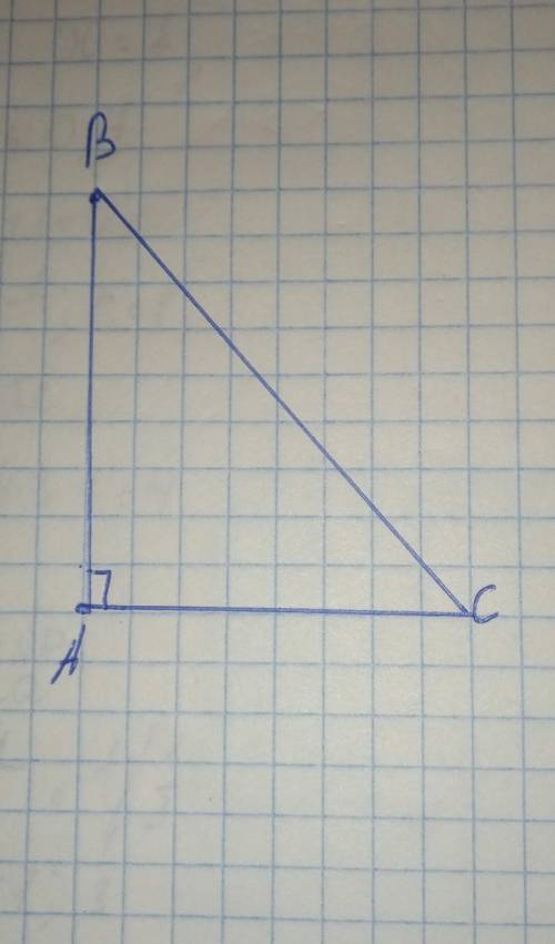 Побудуйте прямокутний трикутник АВС (