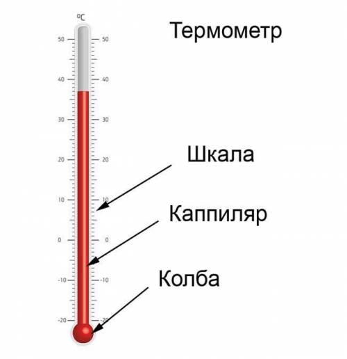 Подпиши части термометра