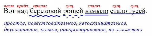 Вот над березовой рощей взмыло стадо гусей. синтаксической разбор ​