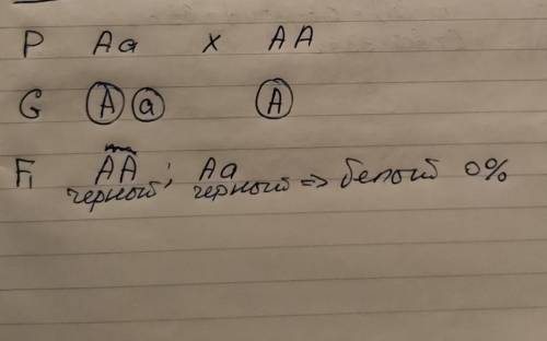 A черный цвет шерсти(доминант) а белый цвет шерсти Определить вероятность рождения белых котят если