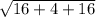 \sqrt{16+4+16}