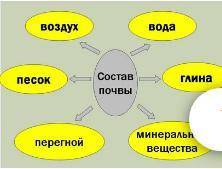 Из чего состоит почва? Описание каждого елимента. С фото