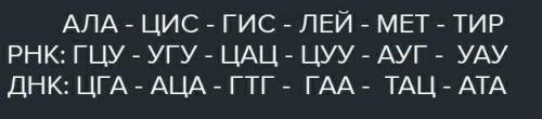 я знаю принцип решения, но тут получается что одну аминокислоту кодирует несколько кодонов и так поч