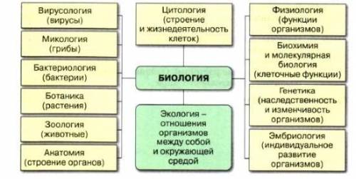 нужно краткое содержание 1 параграфа 5 класса Биология кому не безразлично ​