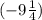 (-9 \frac{1}{4} )