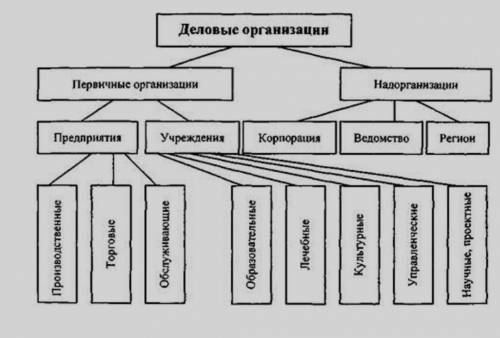 Привести примеры деловых организаций