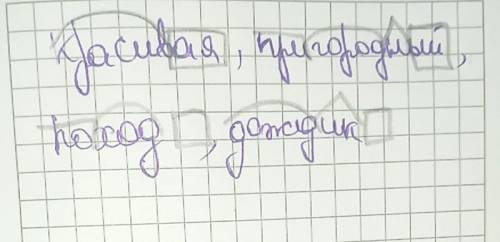 Разбери слова по составу:красивая, пригородный, поход ,дождик.​