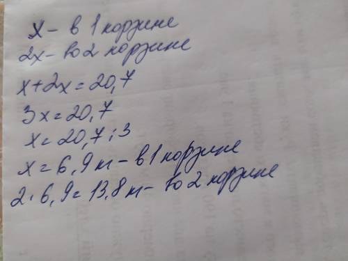 В двух корзинах 20,7 кг яблок. В одной в 2 раза больше чем в другой.Сколько кг в большей корзине?