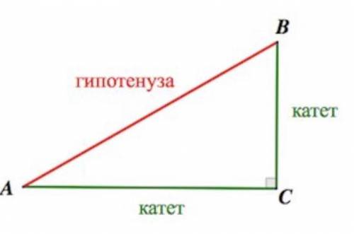 Что такое катет и гипотенуза?