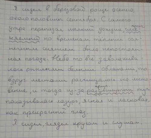 Найдите в тексте все причастия, подчеркните их как члены предложения. Я сидел в берёзовой роще осень