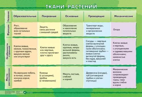 Беология 6 класс (10 тканей и характеристику)