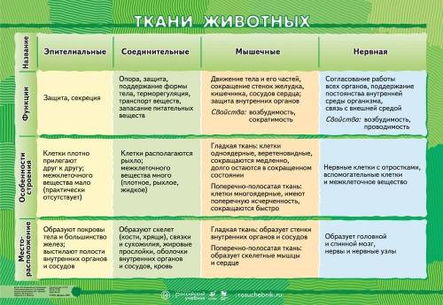 Беология 6 класс (10 тканей и характеристику)