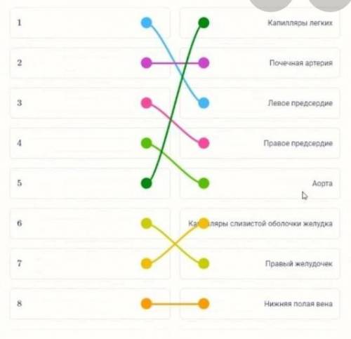 Установите последовательность перемещения по кровеносному руслу лекарственного препарата, принятого