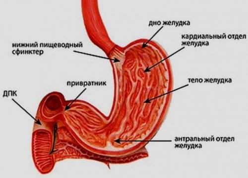 До іть будь ласка терміново 6 задання