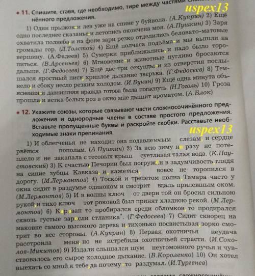 НОМЕРАМИ 11 И 12 !НУЖНО КАК МОЖНО СКОРЕЕ,А ТО НЕ УСПЕЮ((( ЗА ОТВЕТЫ НЕ ПО ТЕМЕ , БУДУ БАНИТЬ