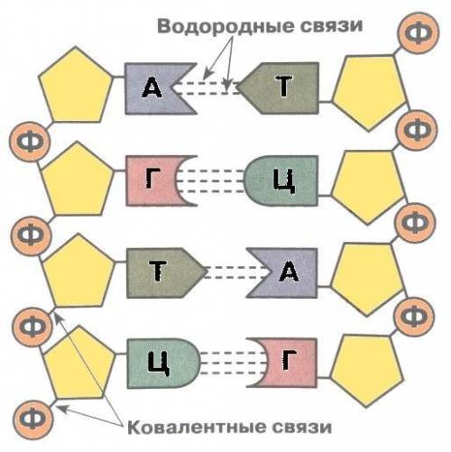 с одним вопросом в тесте