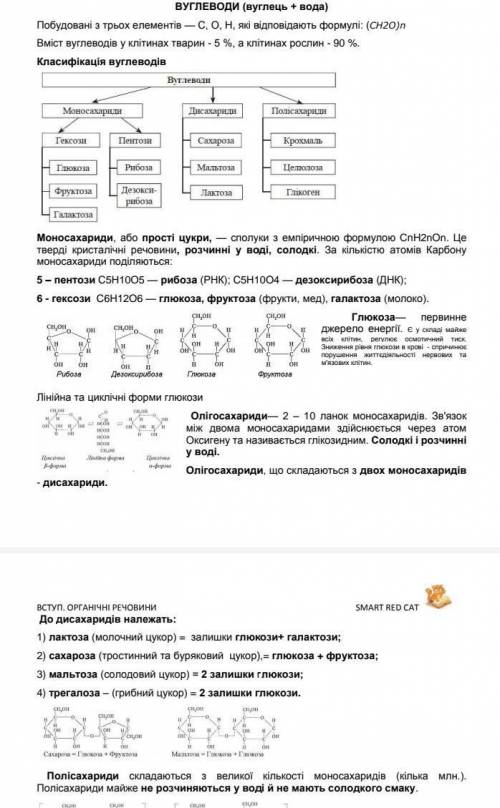 Обрати одну з представлених речовин (білки, жири, вуглеводи). Описаті які функції вони виконують в о