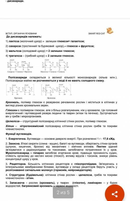 Обрати одну з представлених речовин (білки, жири, вуглеводи). Описаті які функції вони виконують в о